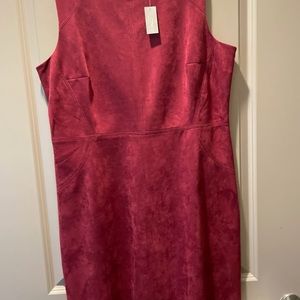 Chicos dress suede like 2.5 size